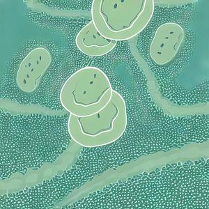 七味《日期》