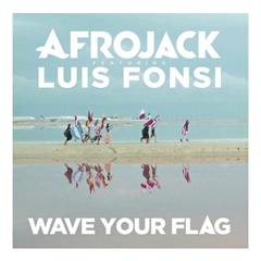 Flag so wave your flag,Now wave your flag.See