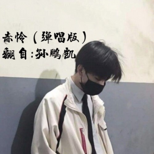 赤伶(cover: 孙鹏凯)