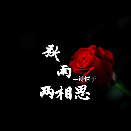 秋雨两相思(伴奏)