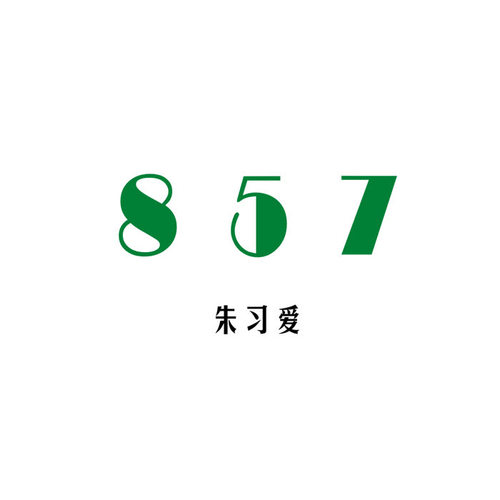 专辑简介                    857制作人朱习爱.