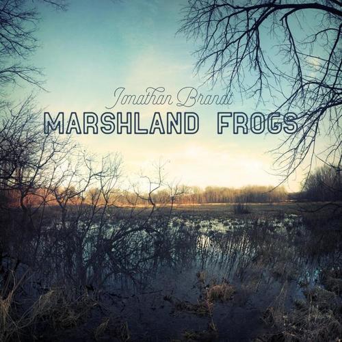 marshland frogs