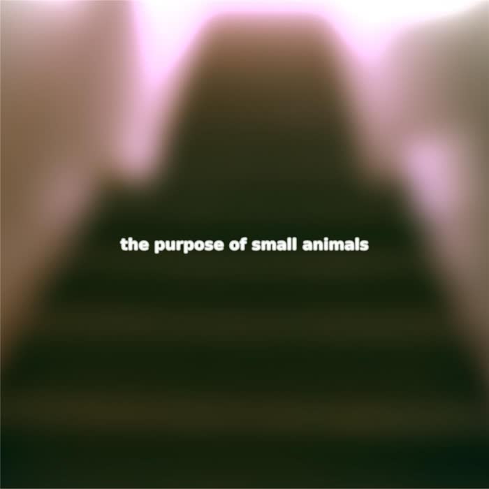 the purpose of small animals