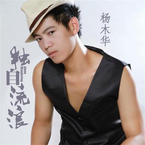 独自流浪(伴奏)_杨木华_单曲在线试听_酷我音乐