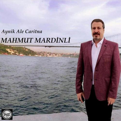 evlerinin 00nü yoldur yolakt03r_mahmut mardinli_单曲在线