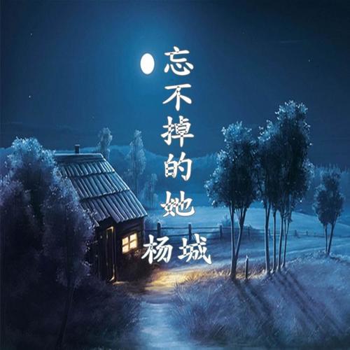 忘不掉的她_杨城_单曲在线试听_酷我音乐