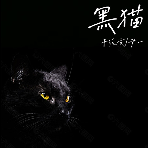 黑猫(伴奏)_于廷文&尹一_单曲在线试听_酷我音乐