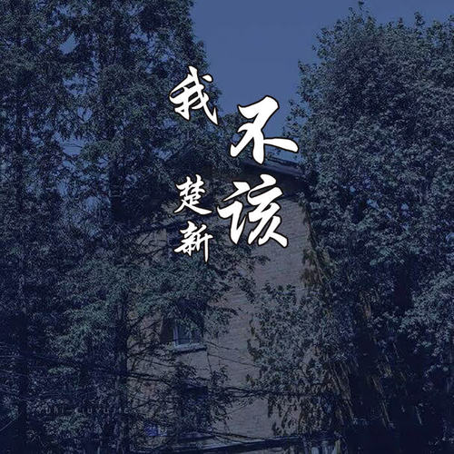 我不该_mc楚新_单曲在线试听_酷我音乐