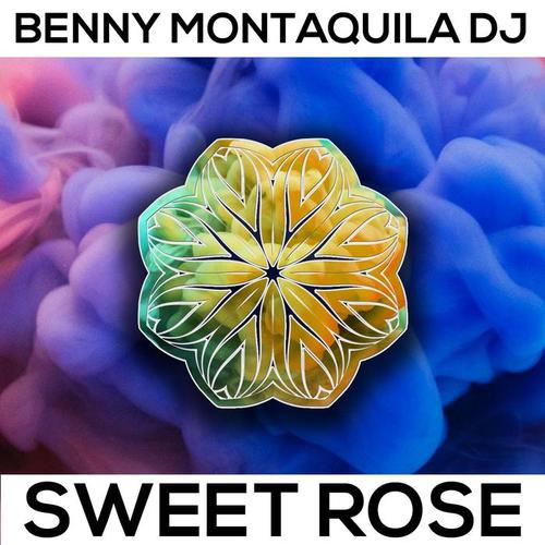 sweet rose