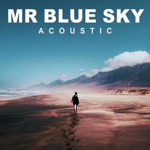 mr blue sky(acoustic)