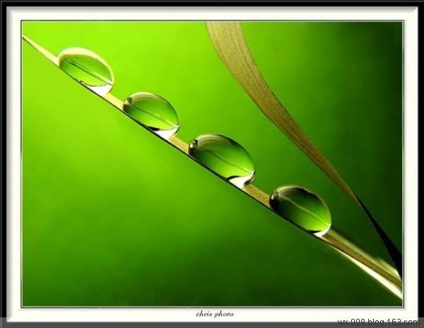 酷我_音乐人吧_不可触摸的美