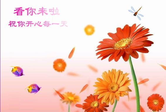 酷我_夕阳红吧吧_莲的心事-乌兰托亚