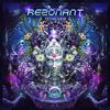 Space Jam - Rezonant&Simia