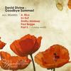 Goodbye Summer! (Andrey Rico Remix) - David Divine