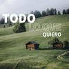 Todo lo que quiero - El Viajero