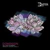 Dominion (Original Mix) - Silvina Romero