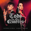 Todo Lo Que Quieres (Can't Remember) (Explicit) - Victoria La Mala&Alemán&Maejor