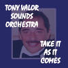 We All Need Love - Tony Valor Sounds Orchestra