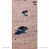 With My Faith - Scott Fraser
