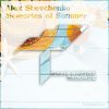 Memories of Summer (Original Mix) - Alex Shevchenko