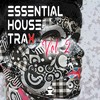 Red Room (Original Mix) - Iuri DJ