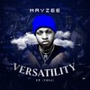 Gwaragwara (Remix) - Zlatan&Mayzee