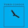 Condor - Turzi
