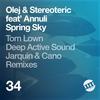 Spring Sky (Tom Lown Remix) - Annuli&Olej&Stereoteric