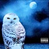 White Owls (Explicit) - Don808pablo