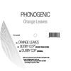 Dubby Cop (Original Mix) - Phonogenic