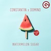 Watermelon Sugar (BB Team Edit) - Constantin&Domino