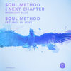 Feelings Of Love - Soul Method