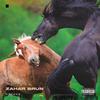 Zahar Brun (Explicit) - Chimie