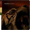 Walney Road - Thomas Blondet