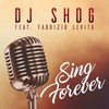 Sing Forever (Dashing Remix) - DJ Shog&Fabrizio Levita