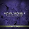 Biorhythm (Peter New Remix) - Miquel&Michael J