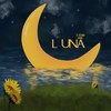 Dawn and Moonlight - 王近祯