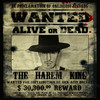 Alive Or Dead (Original Mix) - The Harem King