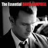 You've Lost That Lovin' Feelin' - David Campbell&Jimmy Barnes