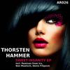 Sweet Insanity (ICS Remix) - Thorsten Hammer