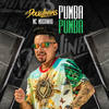 Pumba Pumba(feat. Mc Magrinho & Dj TK) (Explicit) - DJ Douglinhas