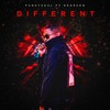 Different (Vocal Mix) - FunkySoul&Dearson