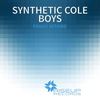 Family Affairs(Original Mix) (Original Mix) - Synthetic Cole Boys