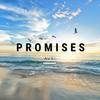 Promises - Avri