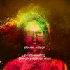 Permanating (Ewan Pearson Mix) - Steven Wilson