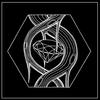 Lost My Words - Sublab