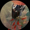 剑网三·非鱼 - 五色石南叶&慕寒