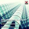 Do It Fantastic (Original Mix) - Schuhmacher&Acid Kit