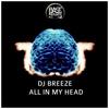 All In My Head - DJ Breeze