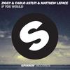 If You Would (ZIGGY's VIP Mix) - Ziggy&Carlo Astuti&Matthew LeFace